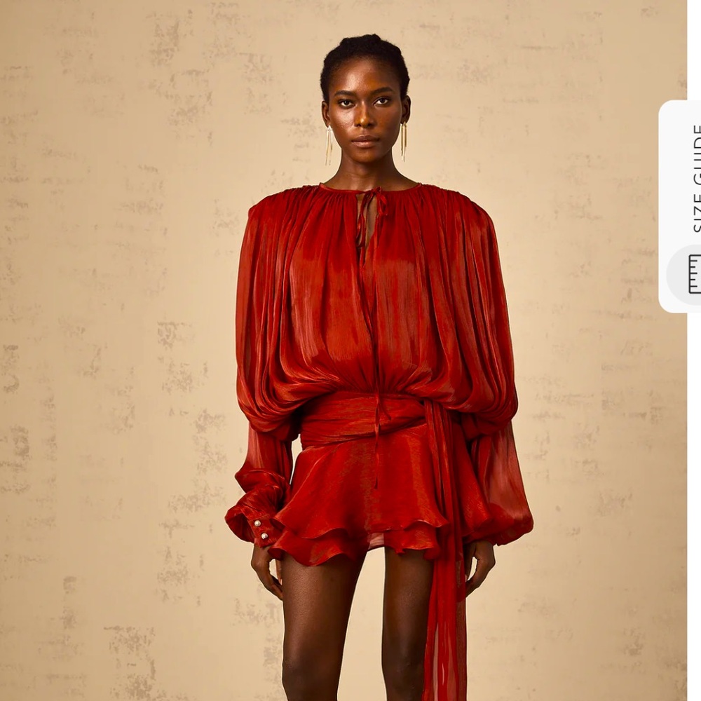 Viral Miss Rosier pleated dress